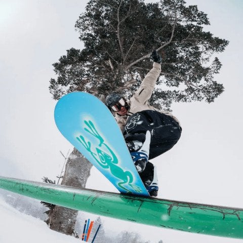 Placa Snowboard Unisex Burton Blossom - Frog