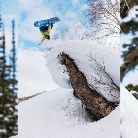Placa Snowboard Unisex Burton Family Tree Sketchartist - Multi