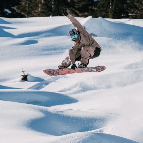 Placa Snowboard Unisex Burton Family Tree High Fidelity - Multi