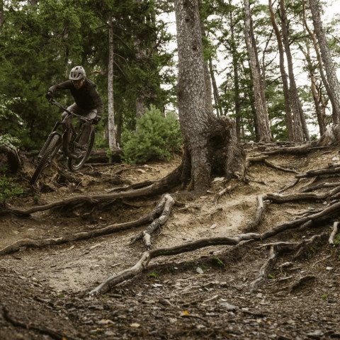 Vesta Termica Barbati Ion Thermolite Hybrid Shelter - Deep Forest