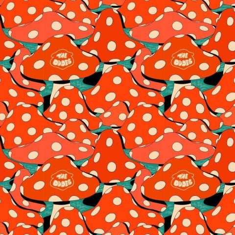 Lenjerie Barbati The Dudes Mushroom Boxer - Multicolour - The Dudes