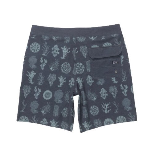 Short de Baie Barbati Salty Crew Boardshort - Magnet - Salty Crew