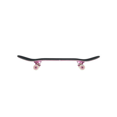 Skateboard Complet Impala Naiad Wen 8.0